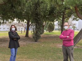 Dos investigadors de la UPV encapçalen el rànquing europeu d’articles més citats en ANP